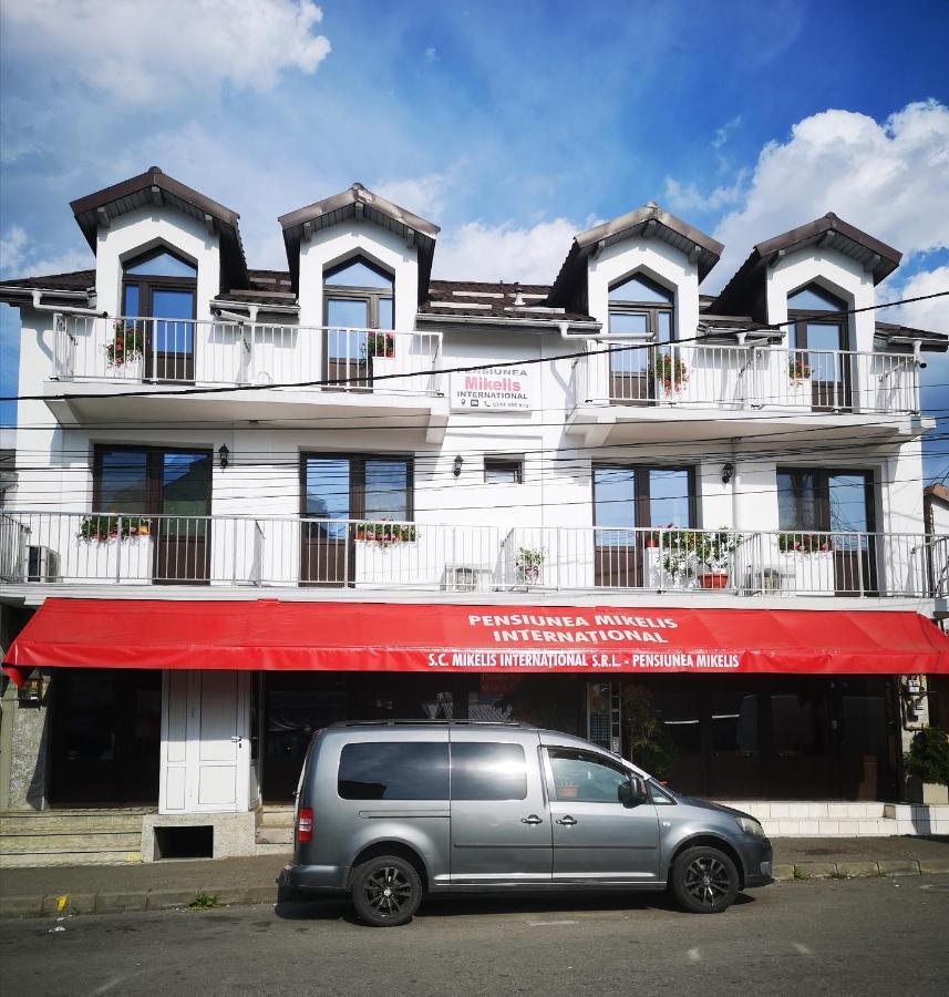 Curtea de Argeş Pensiunea Mikelis International酒店 外观 照片