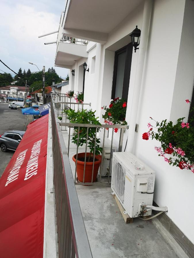 Curtea de Argeş Pensiunea Mikelis International酒店 外观 照片
