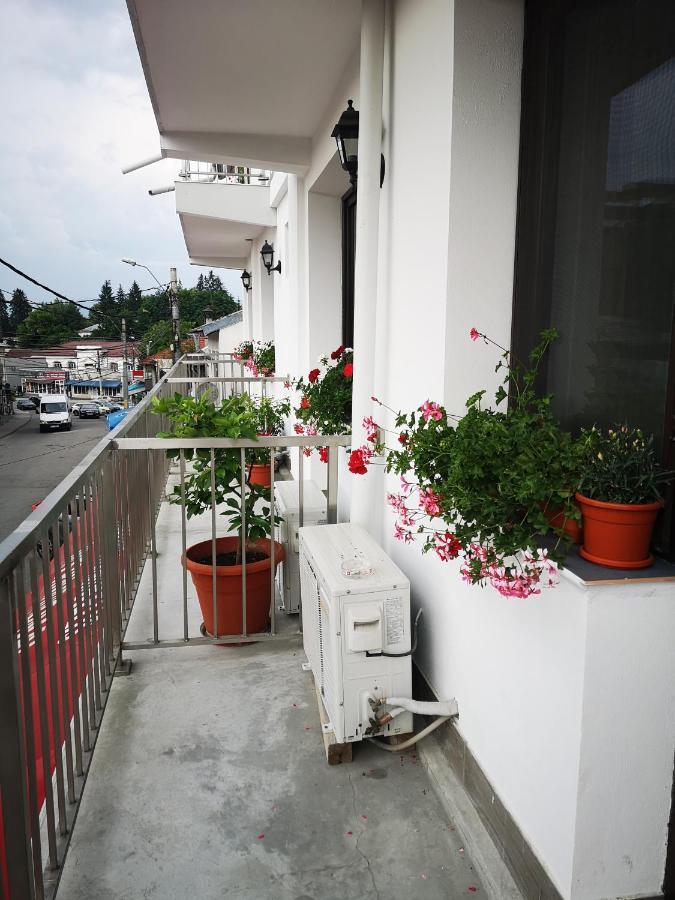 Curtea de Argeş Pensiunea Mikelis International酒店 外观 照片